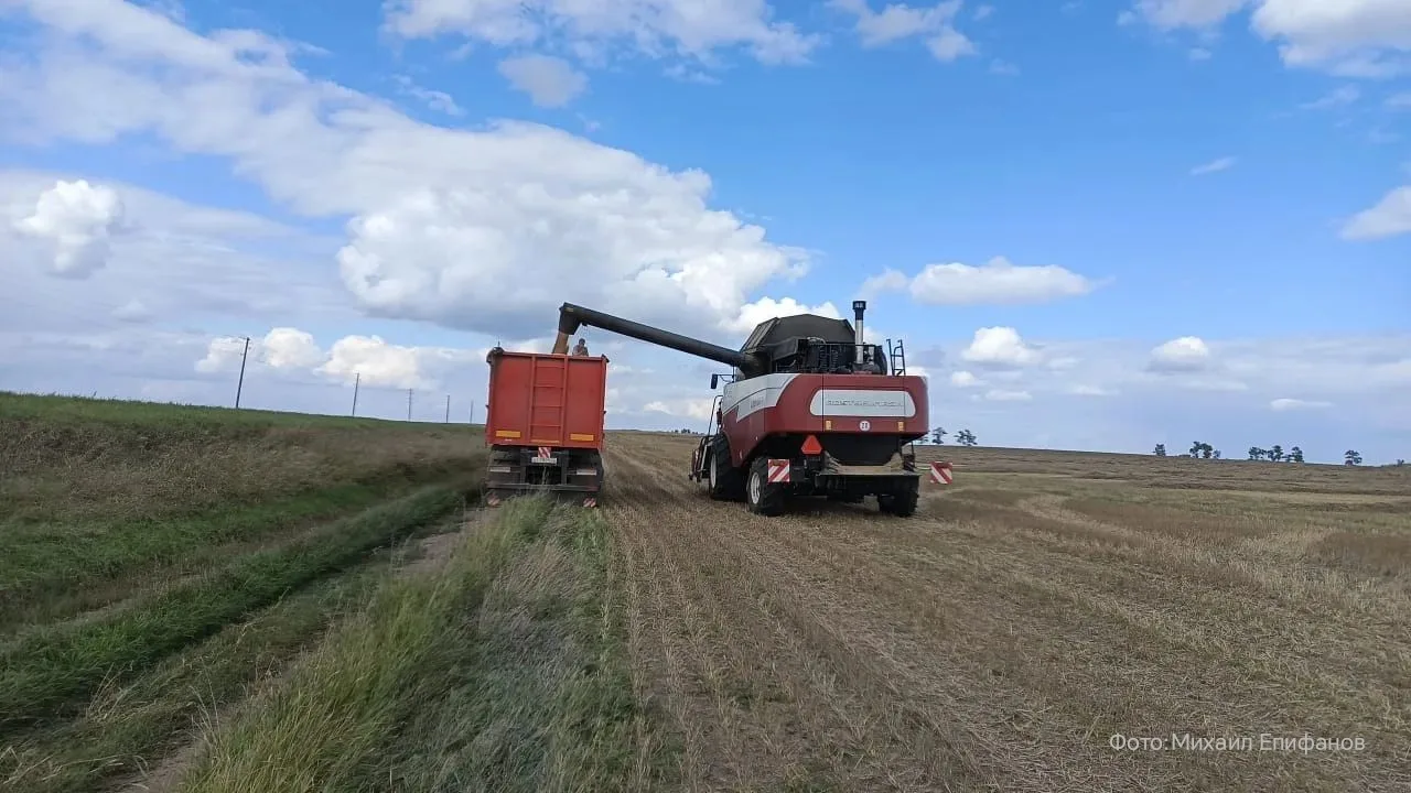 🌾В Усть-Калманском районе полным ходом идет уборочная кампания.  На начало недели с по...