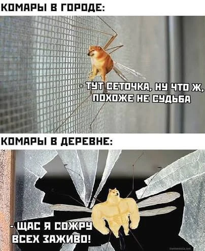Почему комары кусают именно вас?

П: «Ну почему так несправедливо? Сидим компанией вечером на веранд