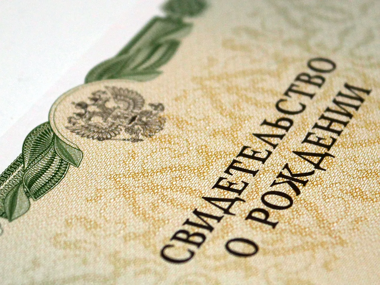 📄 Что делать, если порвалось свидетельство о рождении?