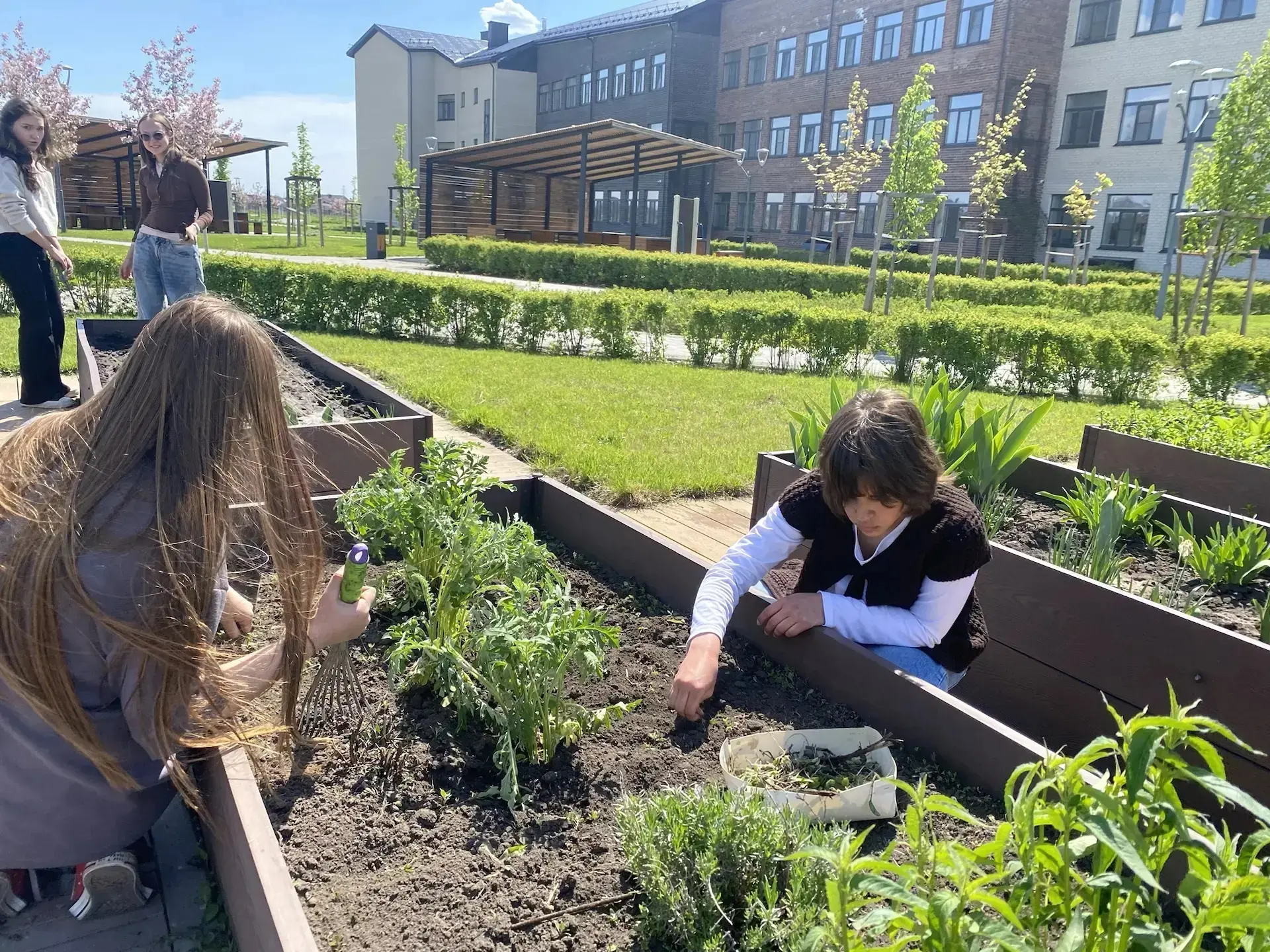 🌱 Урок географии, который запомнится. Теория важна, но практика - бесценна!🤌   Сегодня ученики «Терр