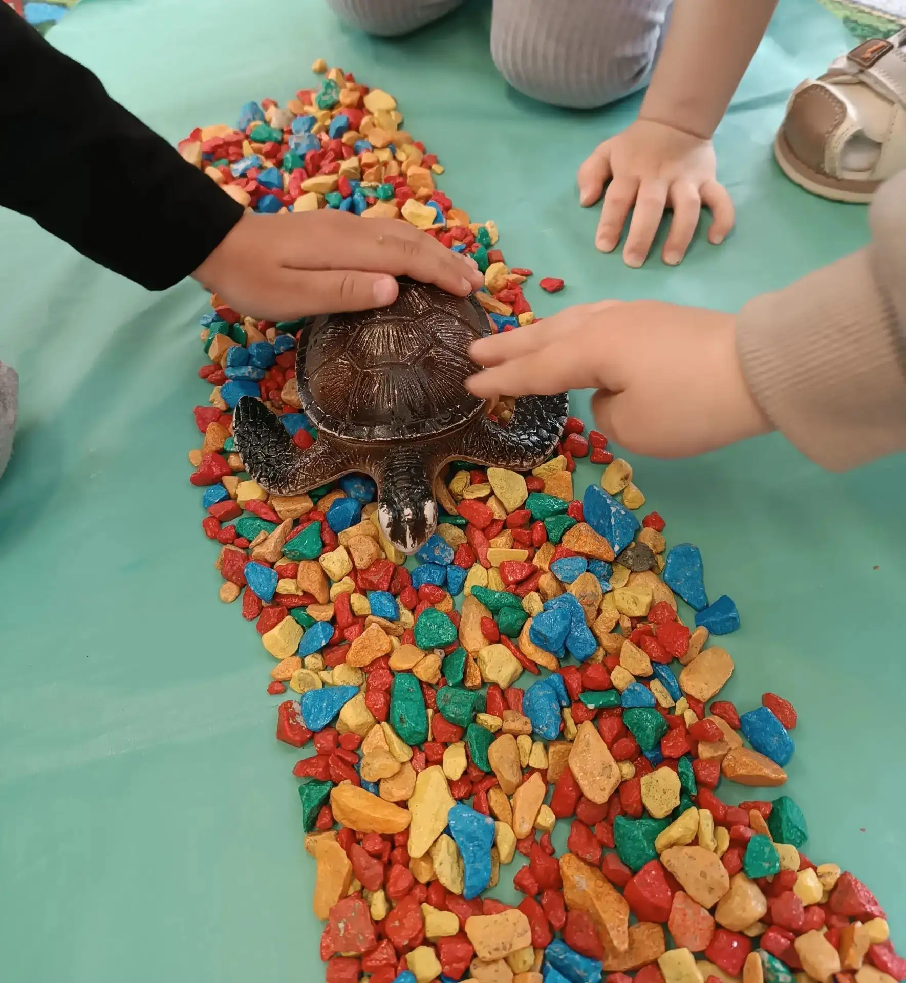 🐢 Водные процедуры для черепашки Наташки!
Сегодня у наших малышей был необычный и очень ответственн