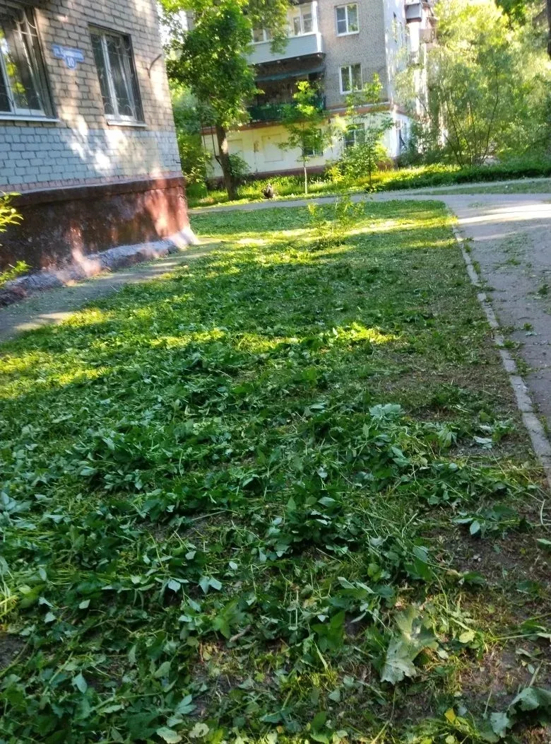 Покос травы на придомовой территории МКД ул.Маршала Красовского, 6, 8, ул. Трудовая, 6,...