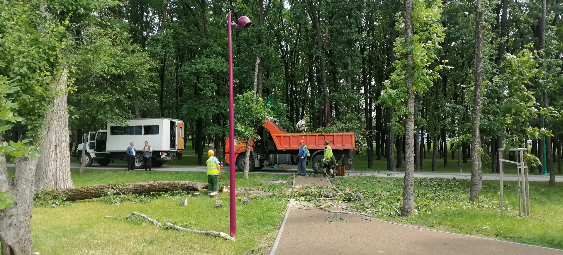 ☀️ Сегодня с раннего утра продолжили работы по устранению вчерашнего урагана, на этот р...