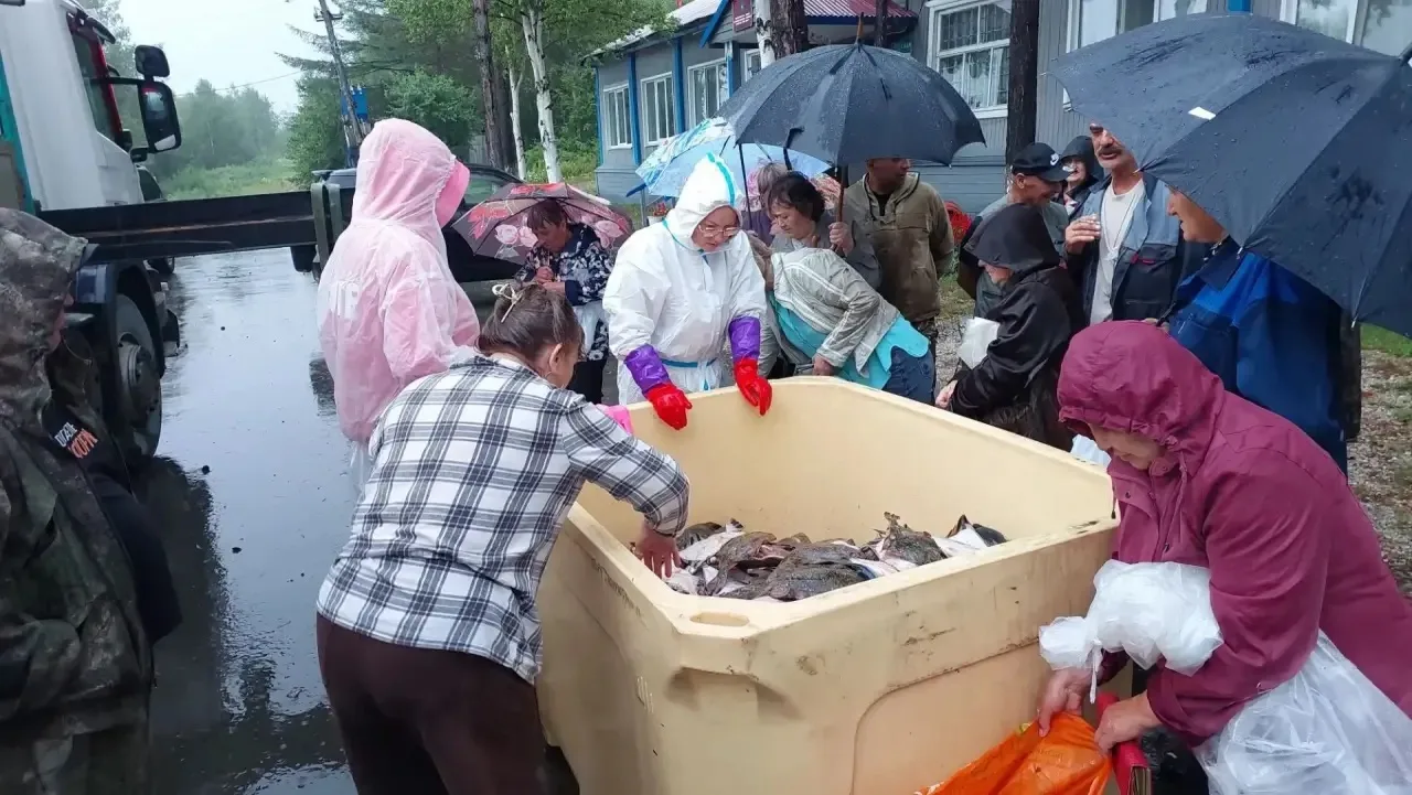 Доступная рыба для жителей Смирныховского района