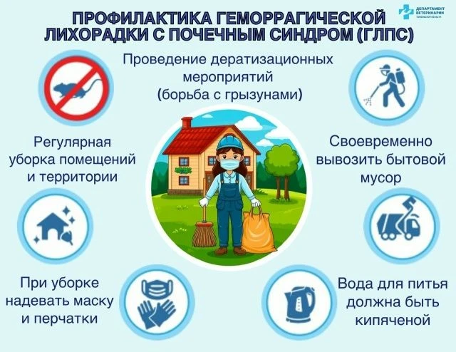 Геморрагическая лихорадка с почечным синдромом (ГЛПС) представляет собой острое инфекци...