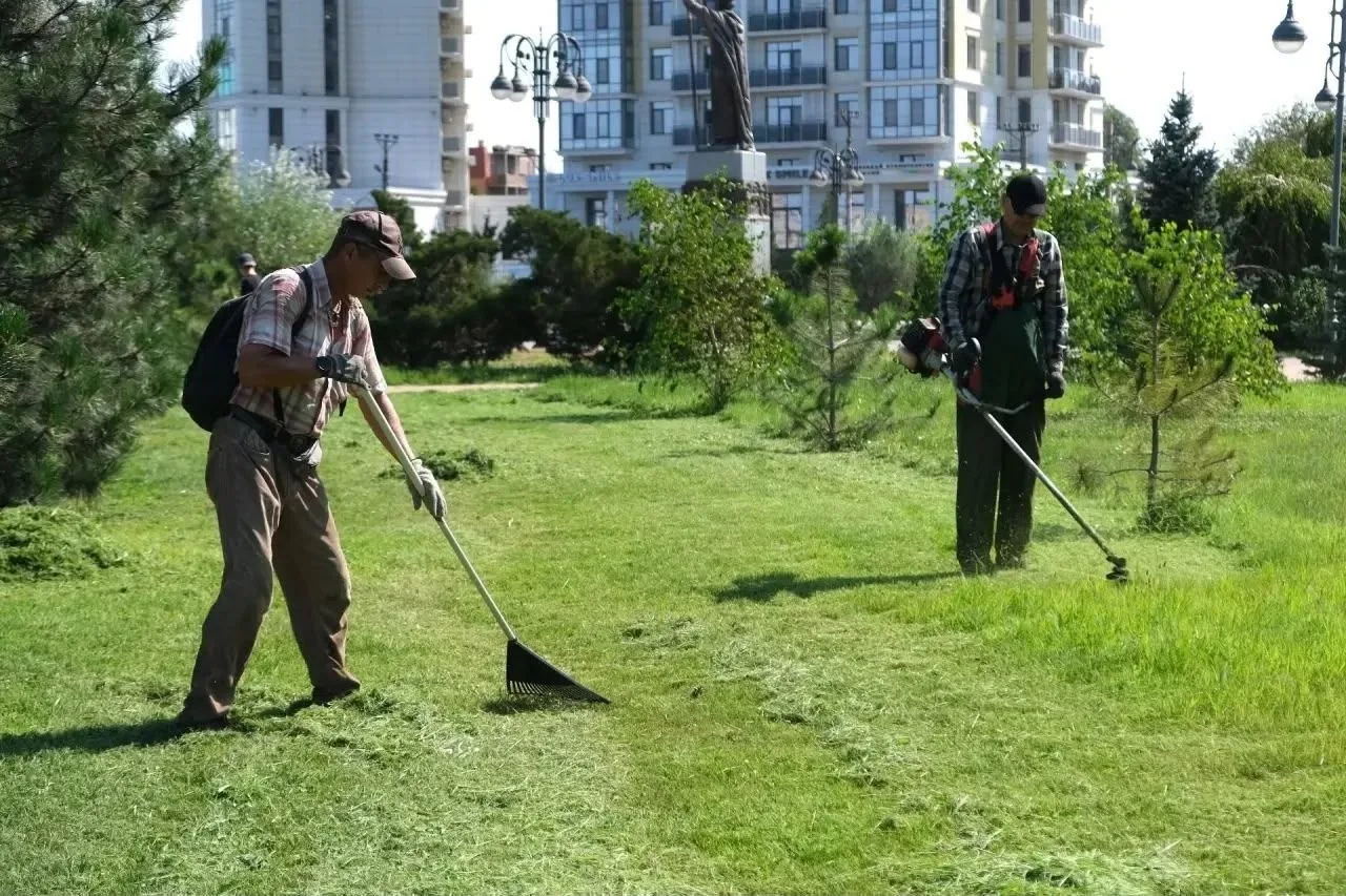 В Астрахани начались работы по покосу травы в срок. Это событие можно считать достижением.

За после