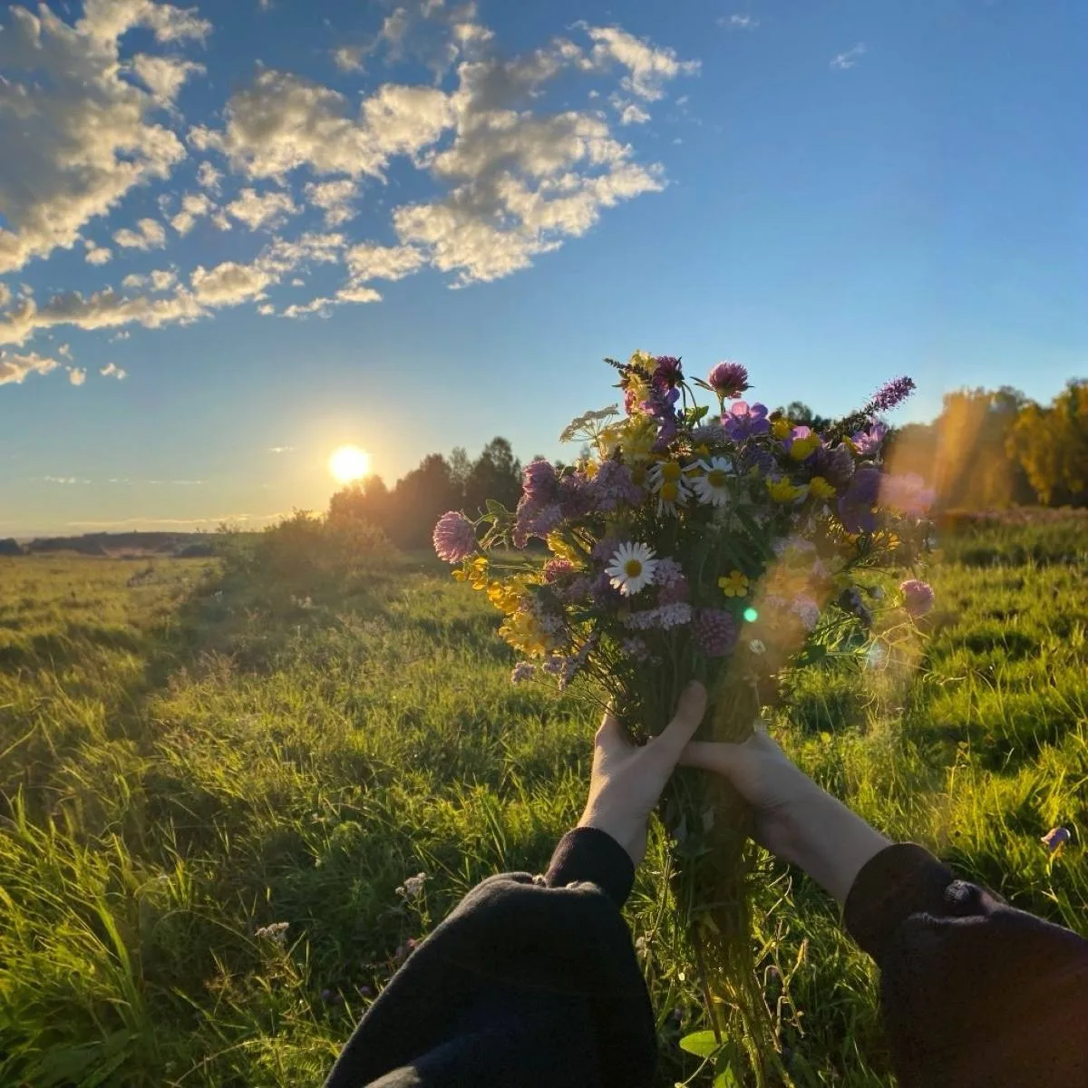 🌿Мудрость дня: