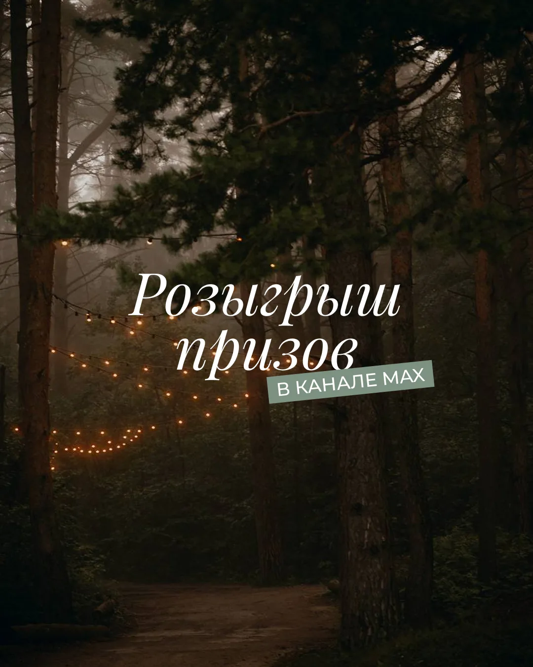 Выходные в подарок: выиграй сертификат на проживание в Pine River!