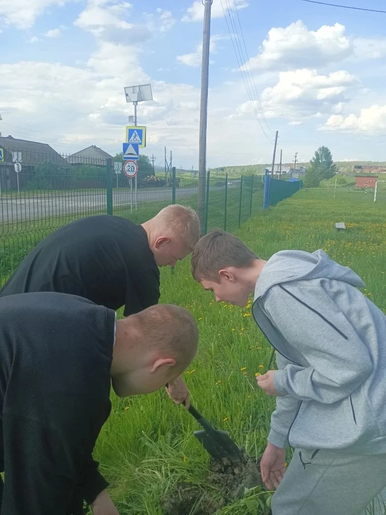 🌲🌳Уже не первый год наши выпускники оставляют о себе память, высаживая деревья и кустарники на тер