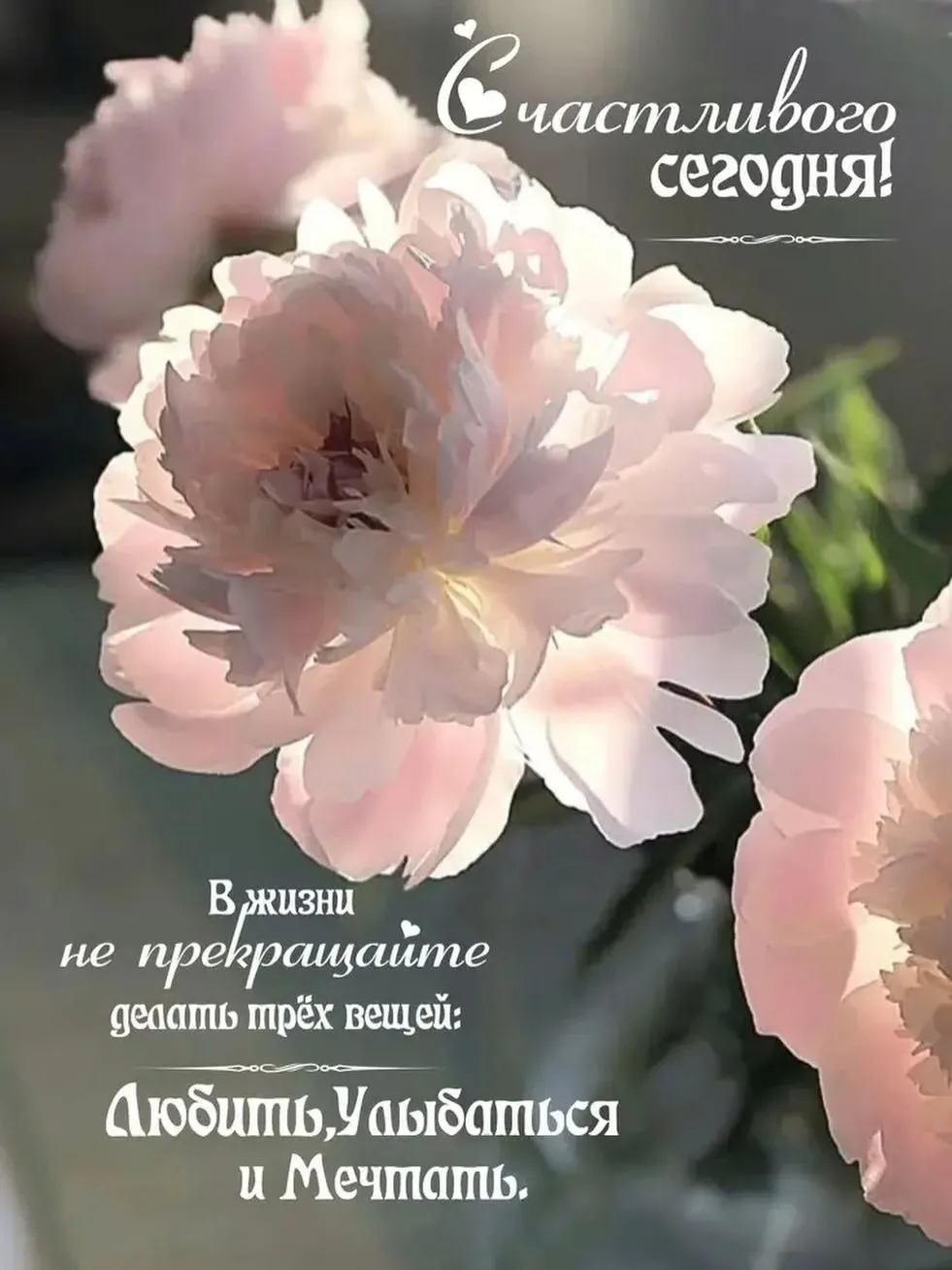Доброе утро!