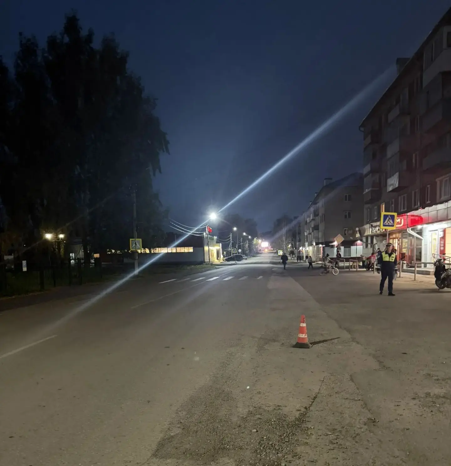 🚔 Госавтоинспекция разыскивает очевидцев смертельного ДТП