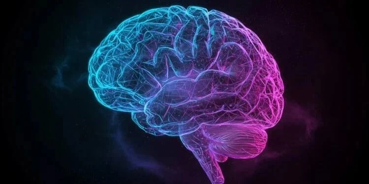 📱Рилсы и TikTok отключают мозг, — исследование Science Direct

Ученые выяснили, что короткие видео 