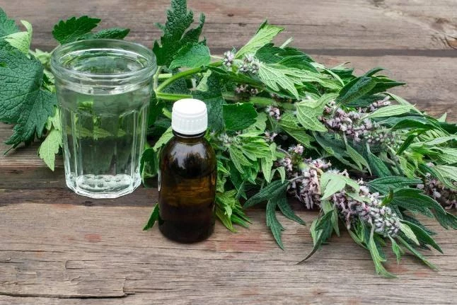 🌿 Улучшаем зрение народными средствами