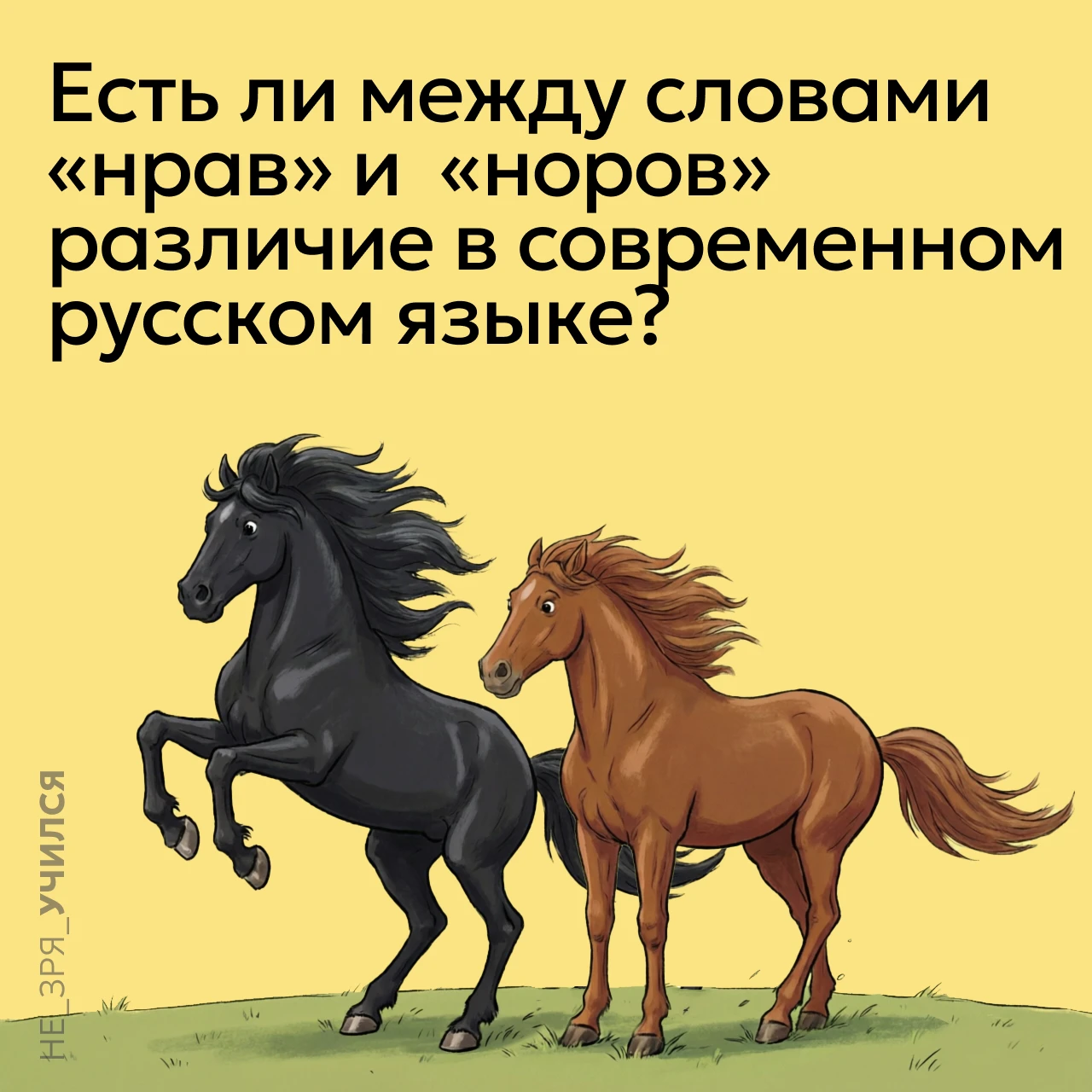 🤔 Существует два слова, имеющих один корень – нрав и норов, первое из этих слов восход...