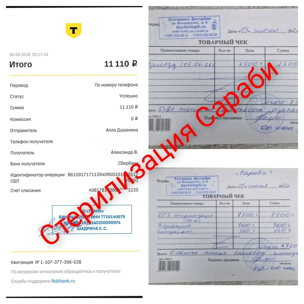 Спасибо за поддержку 🤝.