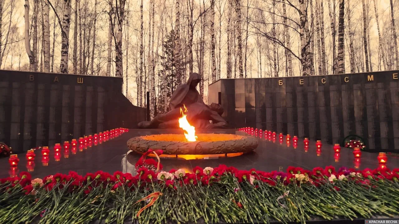 С ДНЁМ ПОБЕДЫ, ДОРОГИЕ ЧИТАТЕЛИ! 

Мирного неба, крепкого здоровья вам и вашим близким, благополучия