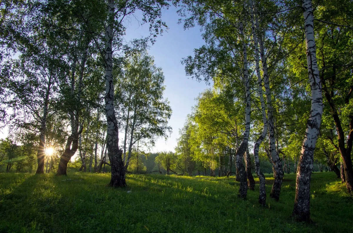 Присылайте Ваши фото в "Предложить пост"