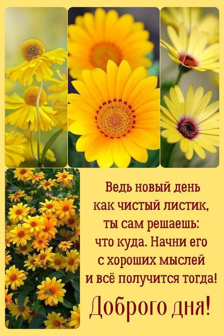 Женские открытки💝
