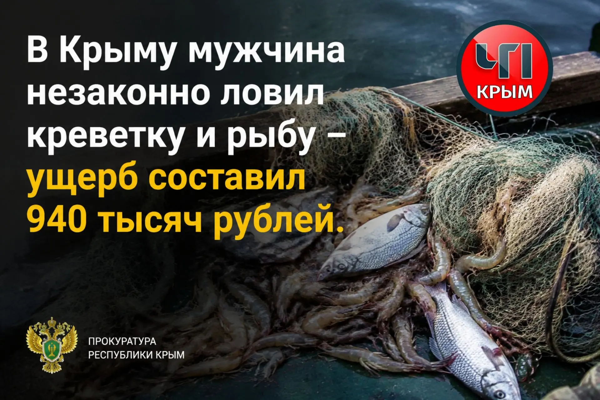 Житель Черноморского района незаконно ловил креветку и рыбу – ущерб составил 940 тысяч ...