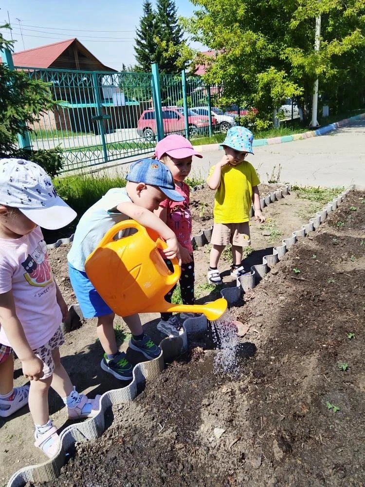 🌸 Наши маленькие огородники не сидят без дела. На грядках уже появились первые всходы.

Сейчас глав