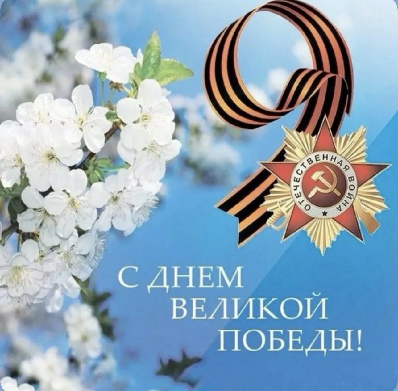🕊️Сегодня мы отмечаем 9 Мая — день, который объединяет поколения и наполняет сердца го...