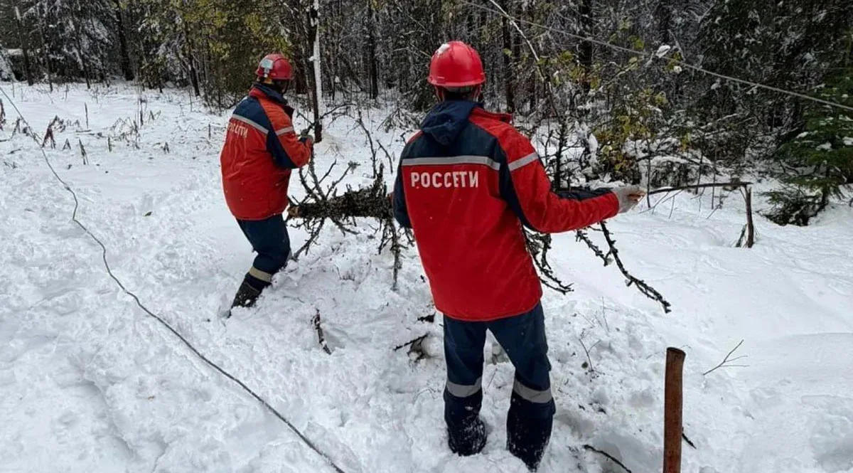 Следы медведя заметили энергетики во время ликвидации последствий снегопада на Урале