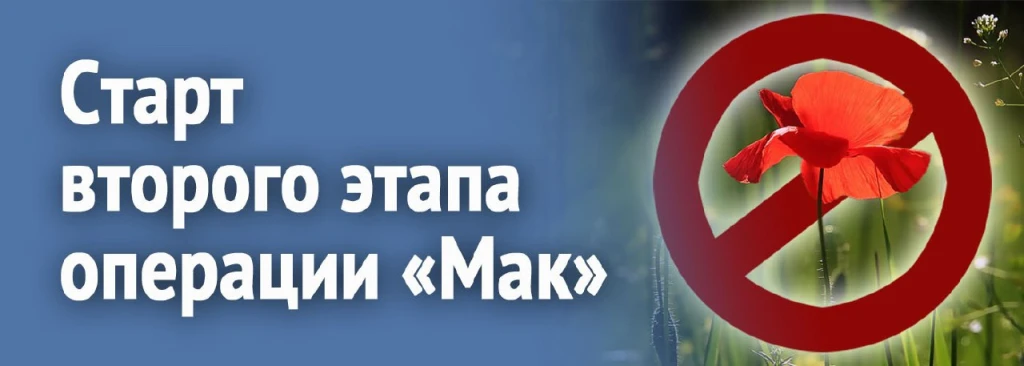 На территории Костромской области в период с 24 по 26 августа пройдет второй этап межве...