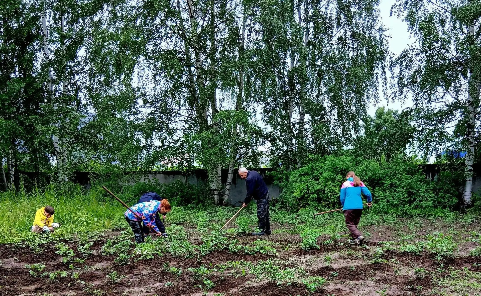 🌿 Лето в нашем доме — это не только солнце и зелень, но и горячая пора на приусадебном участке.

По