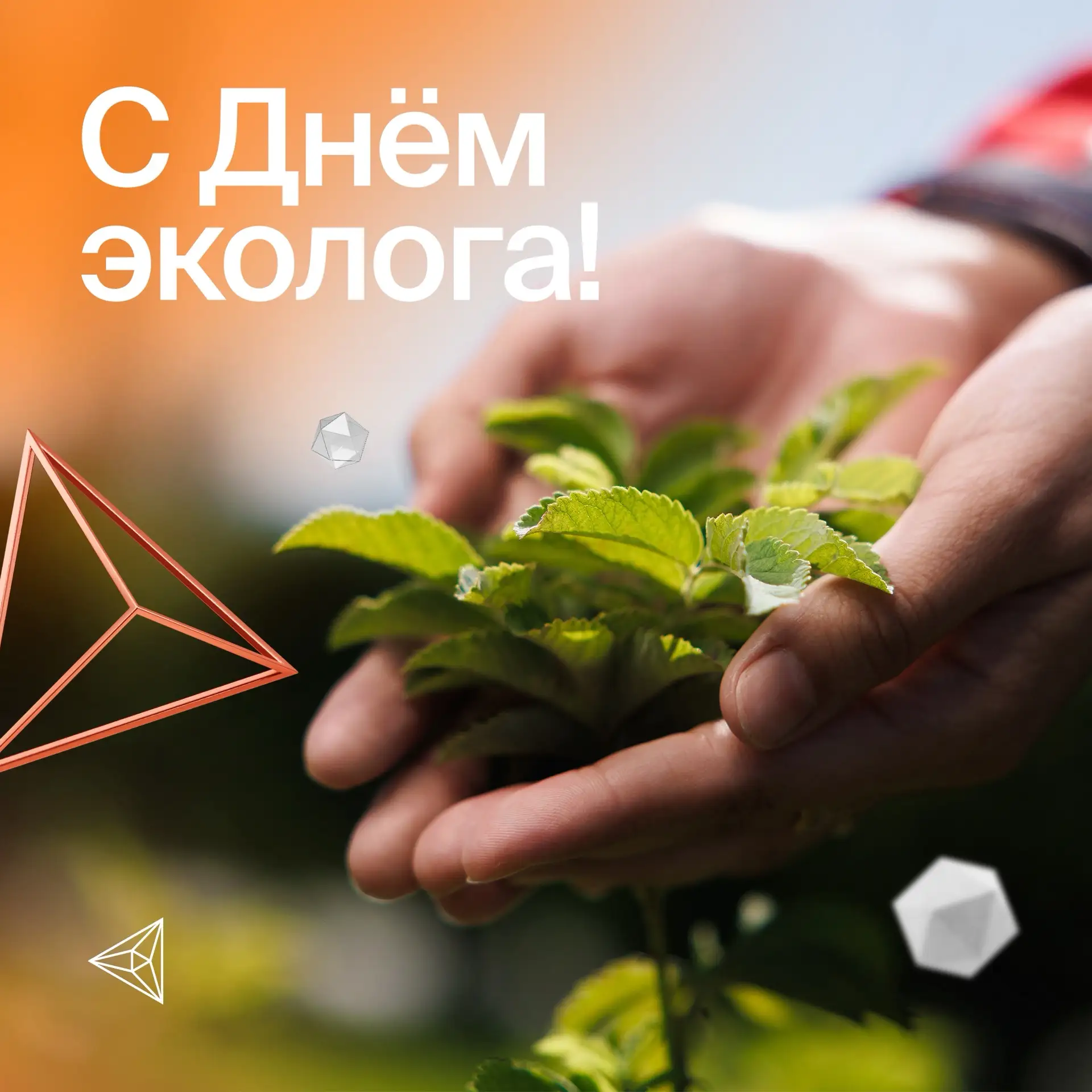 Поздравляем с Днём эколога! 
 
Коллеги, без вашей экспертности, профессионализма и любви к природе н