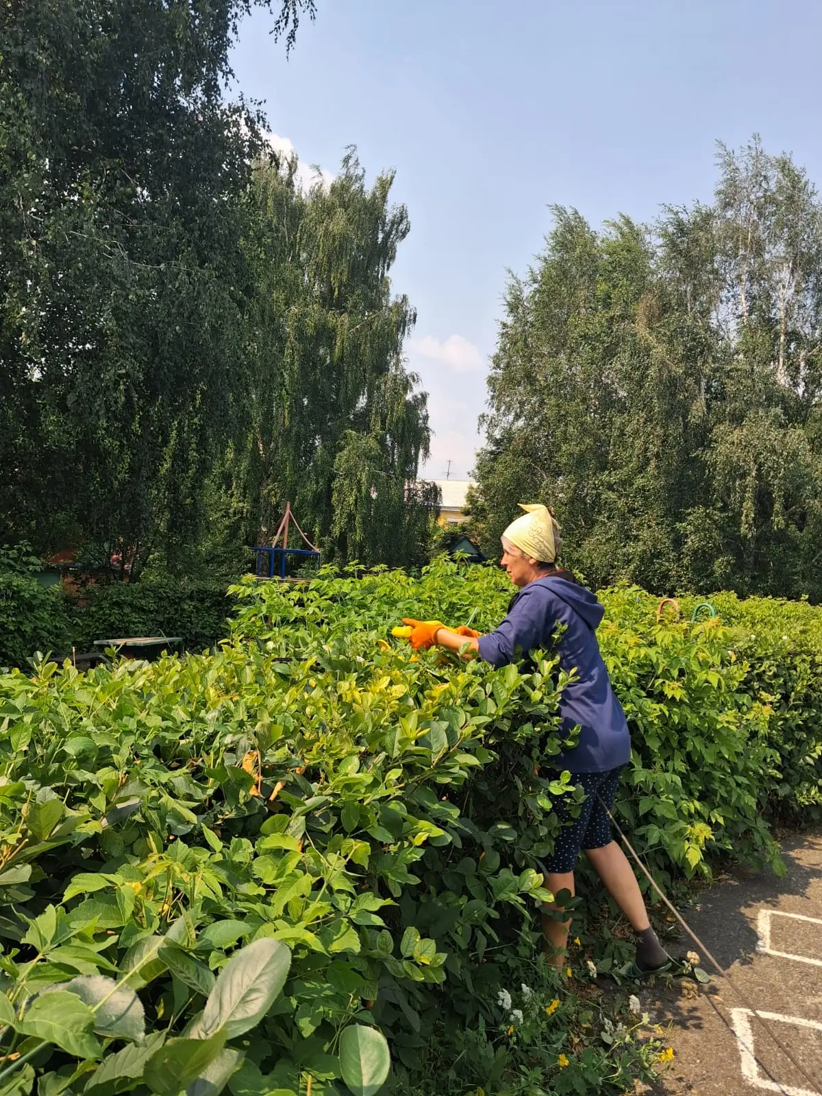 Садовник — это не просто «копатель», это настоящая профессия, причем очень многогранная.

Вот Марина