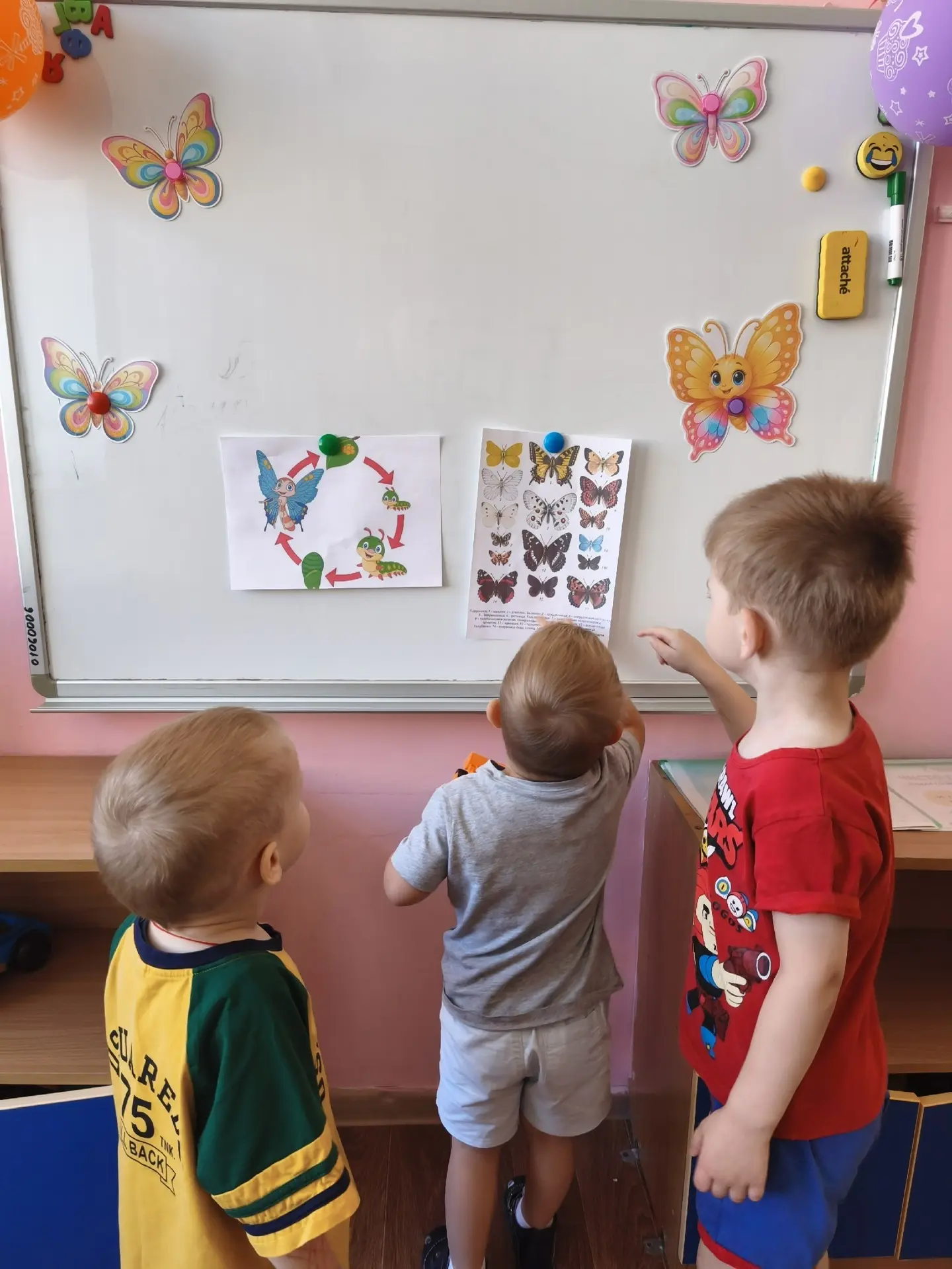 🦋19 июня в России отмечается «День бабочек» 🦋 

Экологический праздник призван привлечь внимание к