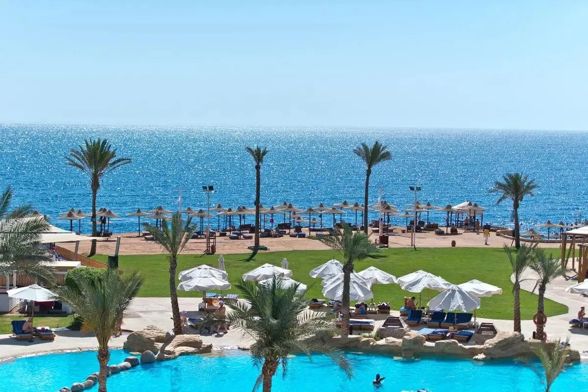🌊 ЕГИПЕТ! 🇪🇬