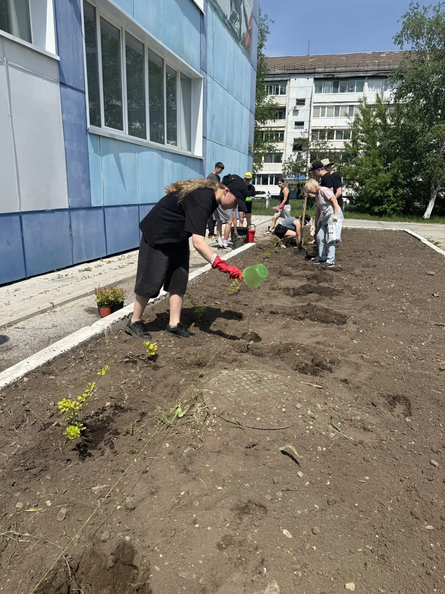 Сегодня силами наших учеников были высажены многолетние растения, которые через несколько лет превра