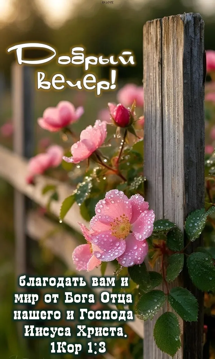 🥰 Оставляйте реакции, если понравилась открытка и делитесь с близкими ❤️

💌 Лучшие Открытки в MAX!
