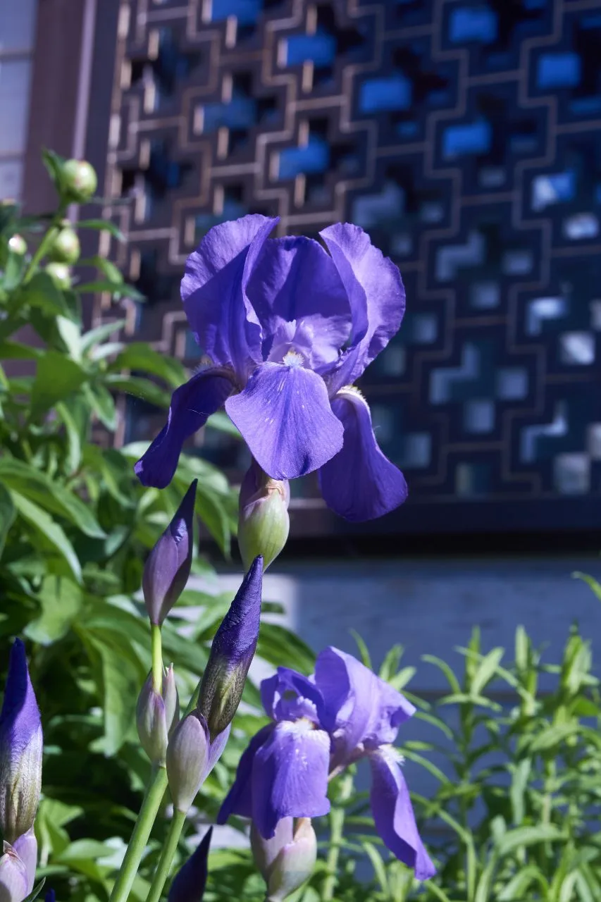 Доброго утра и хорошего дня!🌷
С началом новой недели, Божией помощи во всех делах и начинаниях! 🕊
