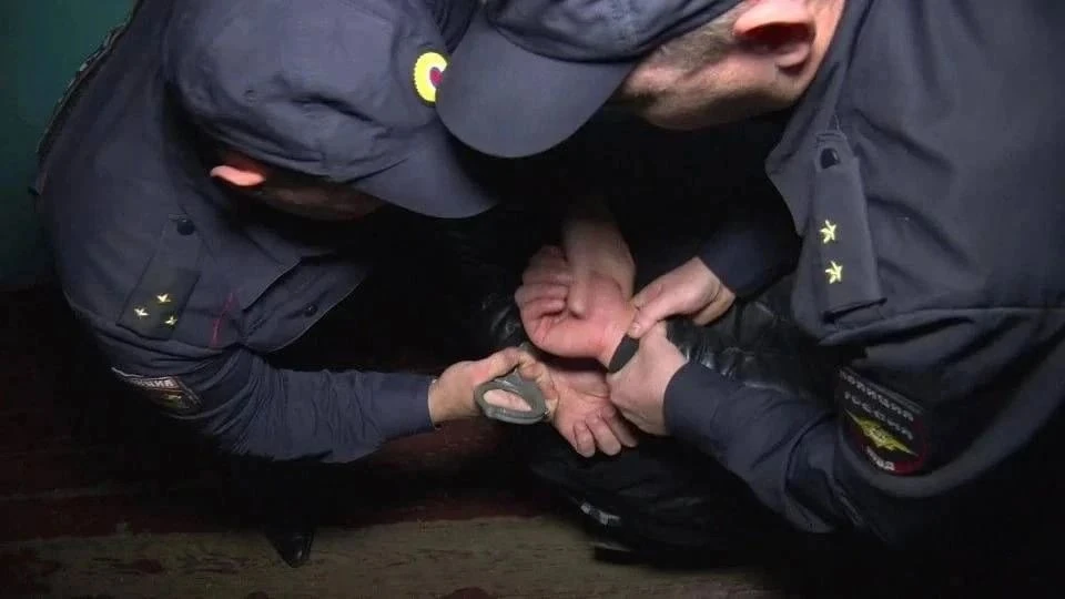 Под Рязанью задержали дачного вора из лесного шалаша