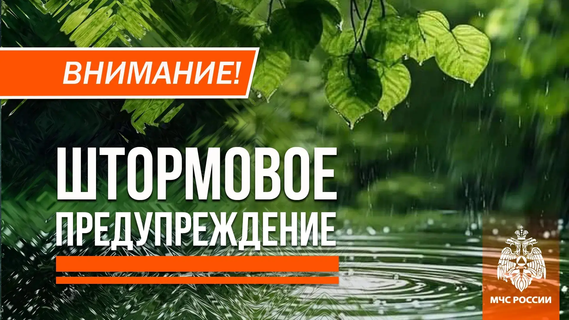 Небольшой дождь по акватории Азовского моря ожидается 4 июня.