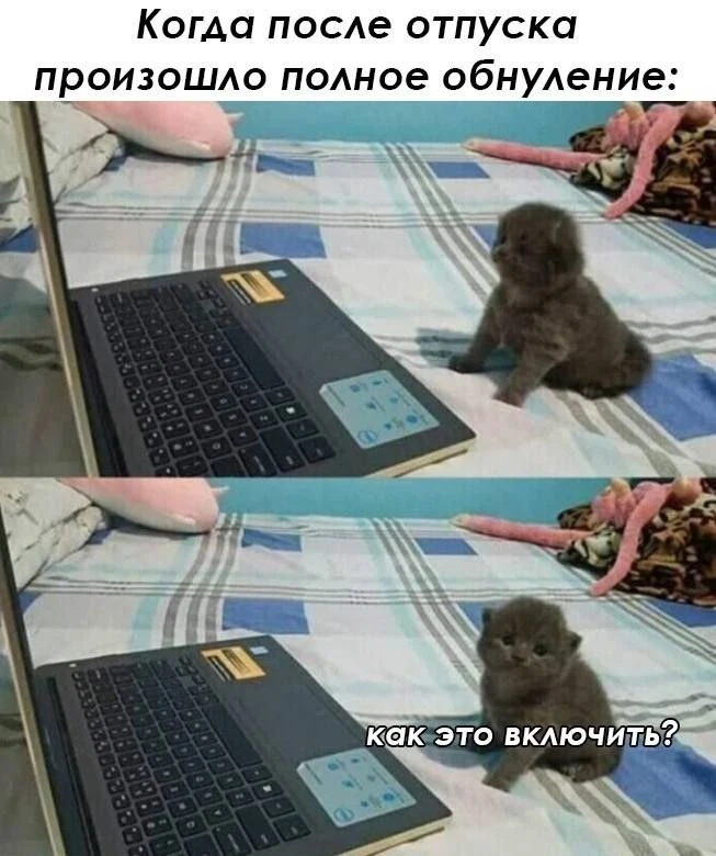 Пароли все помнят?😅