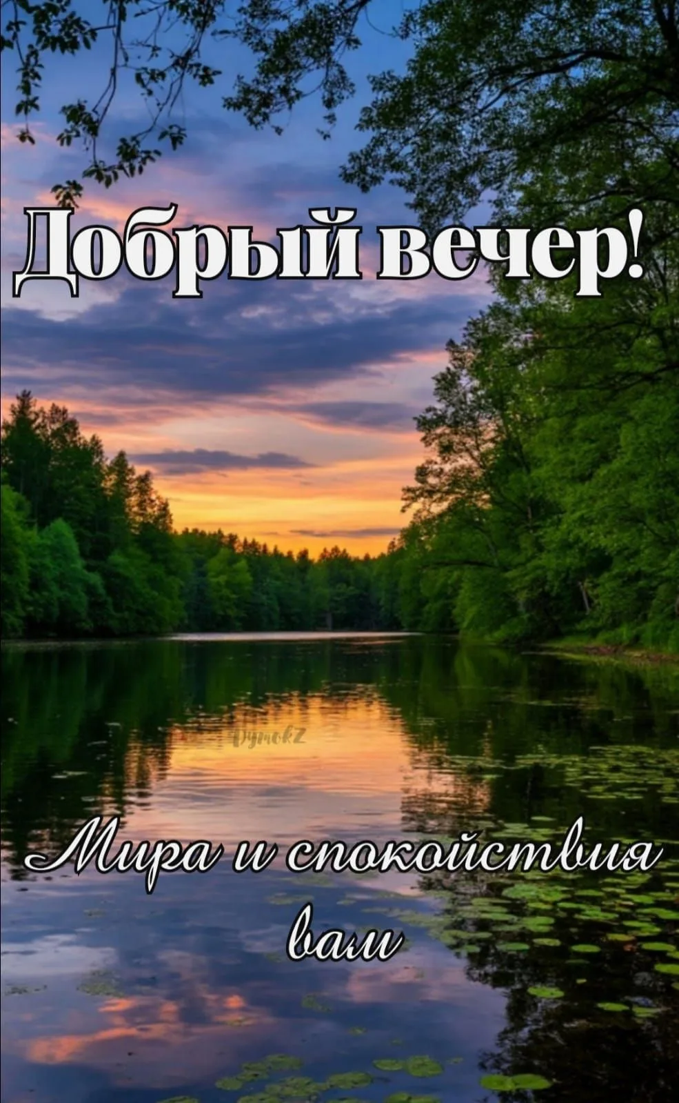 Наши каналы: