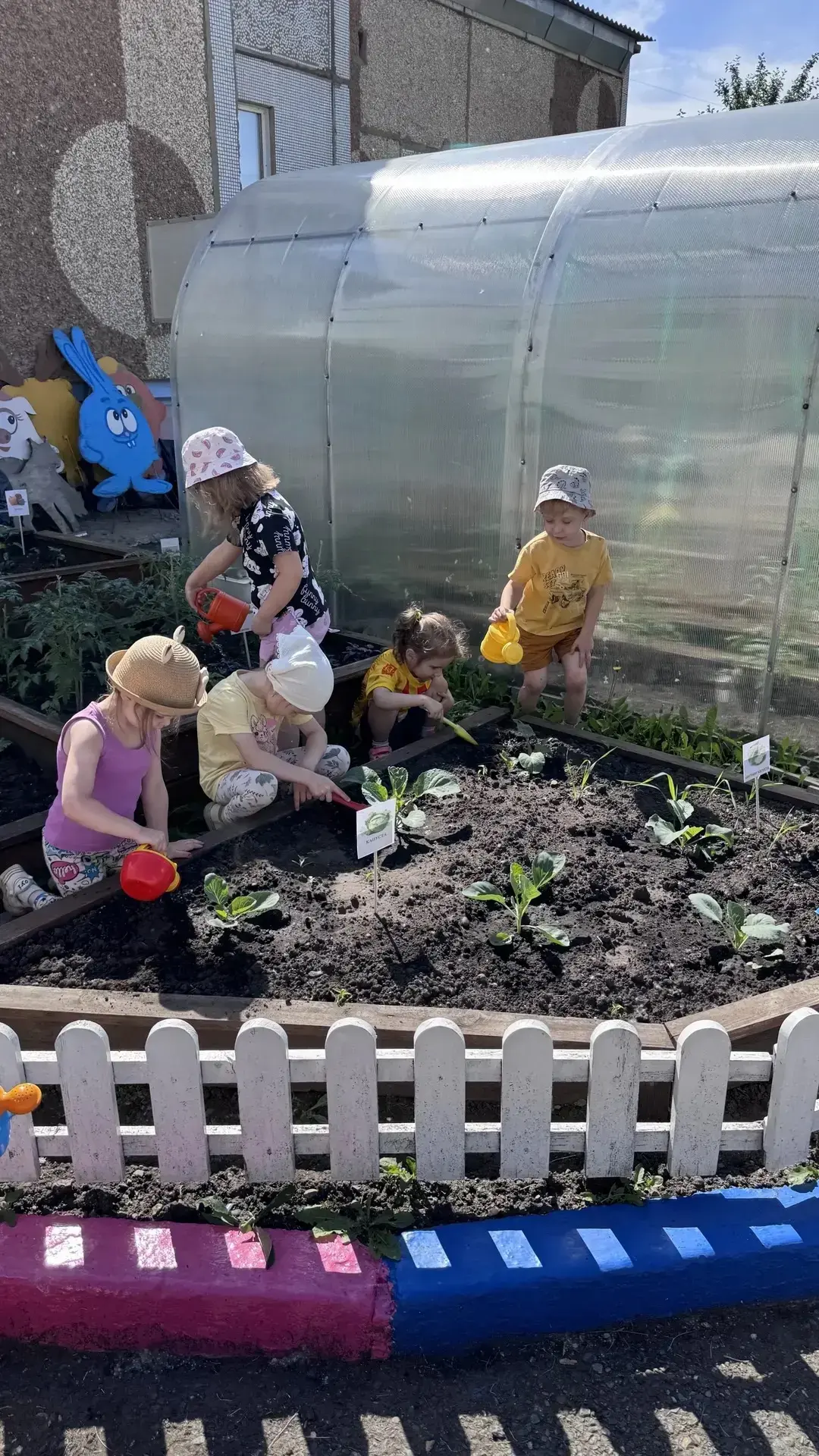 🌱 «Посадили огород - посмотрите, что растет!» 🌱

В нашем детском саду кипит работа! На маленьких г
