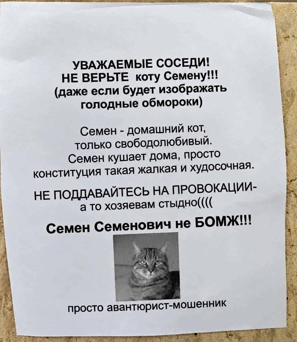 📋 "ДОСКА НАСТРОЕНИЯ" В ШОУ "ПУШ" 😂