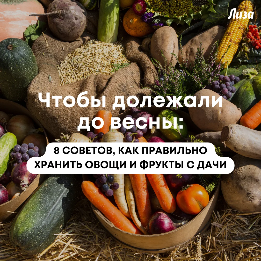 Овощи и фрукты с собственного участка — это запас витаминов на зиму. Но не всем продукт...