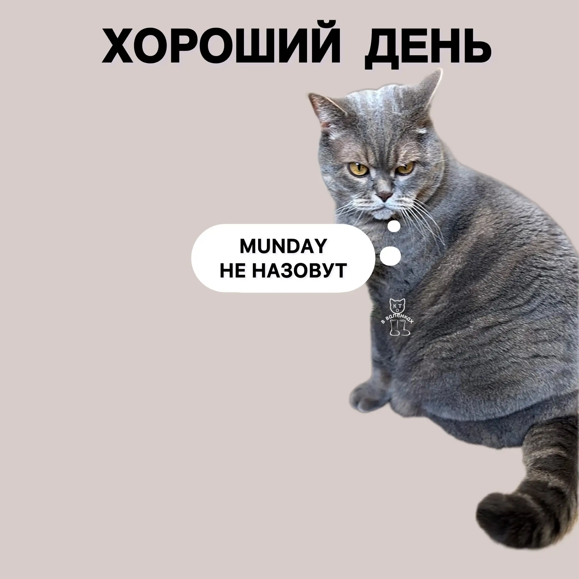 Всем доброе утро 😻