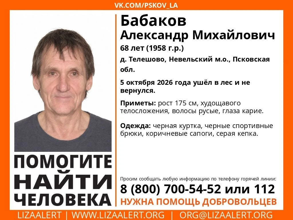 ❗️Пропавшего в лесу пенсионера разыскивают в Невельском районе