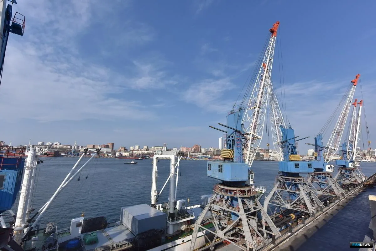 В Приморье пытаются изменить структуру собственности ВМРП

Арбитражный суд Приморского края признал 