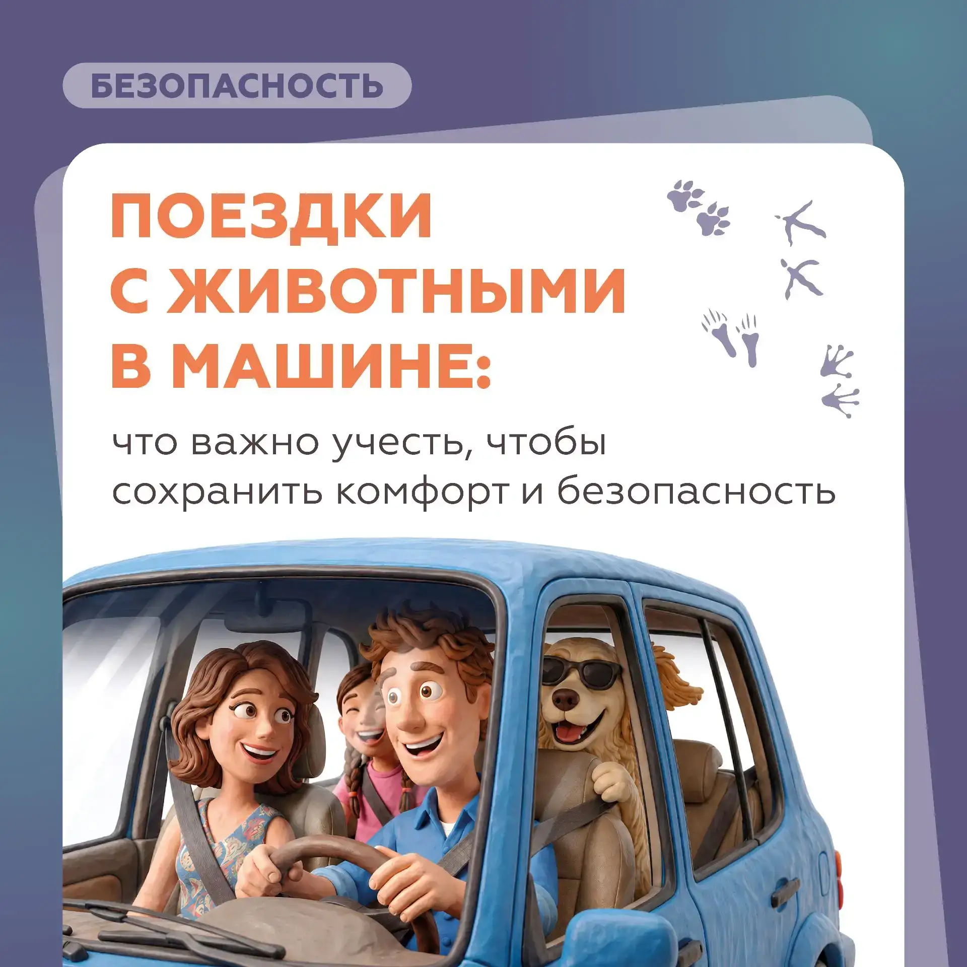 Собираетесь в путешествие на автомобиле с домашними питомцами? 

В этом случае очень важно знать пра