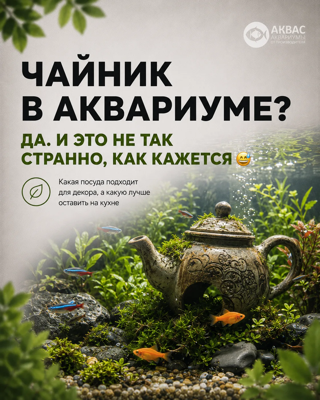 Чайник на дне аквариума может выглядеть гораздо интереснее, чем звучит 😅