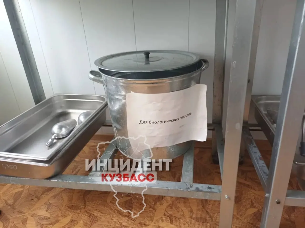 В Белове сообщили о проверке скандальной службы отлова «Жилкомхолдинг»