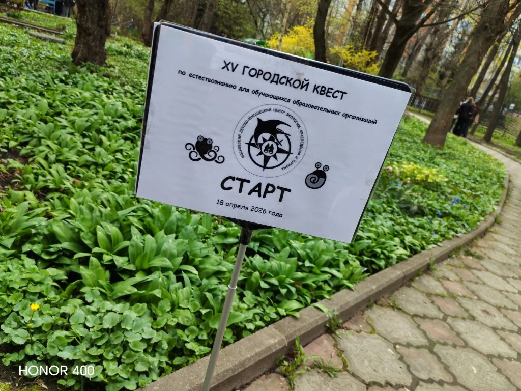 🏆 Олимпиады   🗓 18 марта команды 5Л, 7К и 8К классов приняли участие в финальном этапе XV Городского