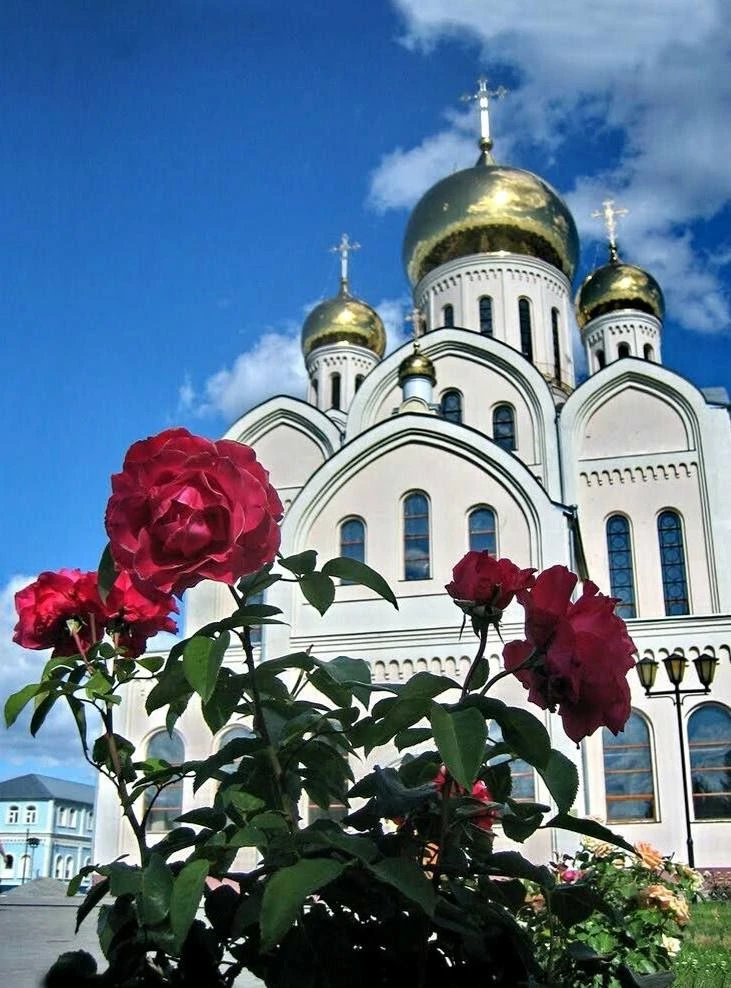🌷Главное, что требуется от каждого человека, - это никого не осуждать. Кажется, просто...